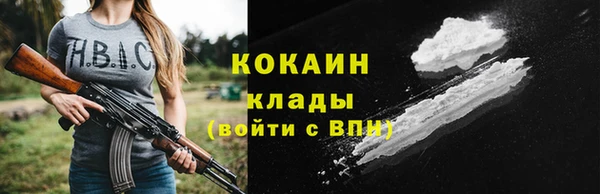 прущие грибы Майский