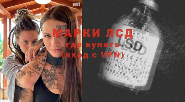 прущие грибы Майский